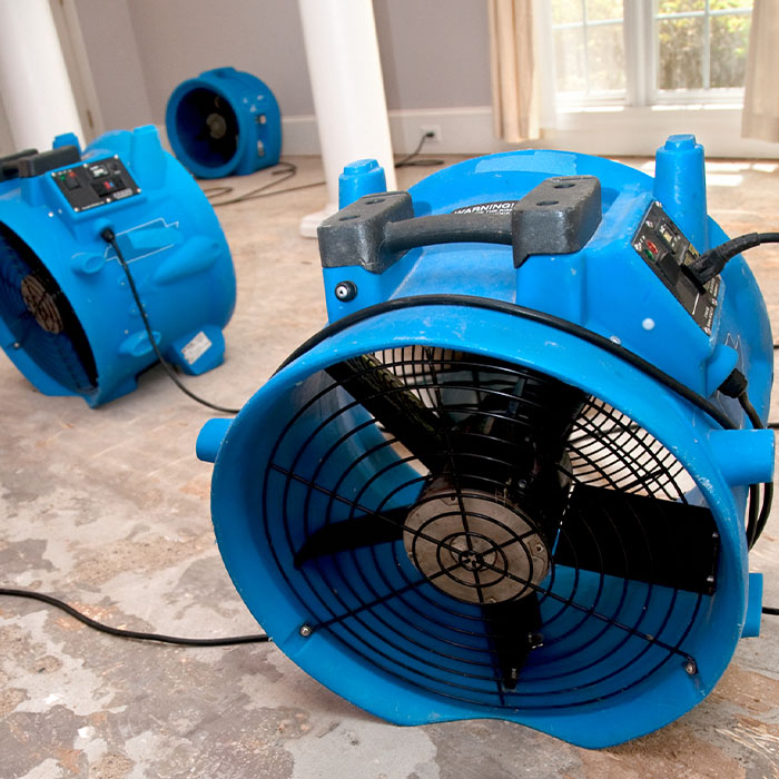 Sewage flood home restoration