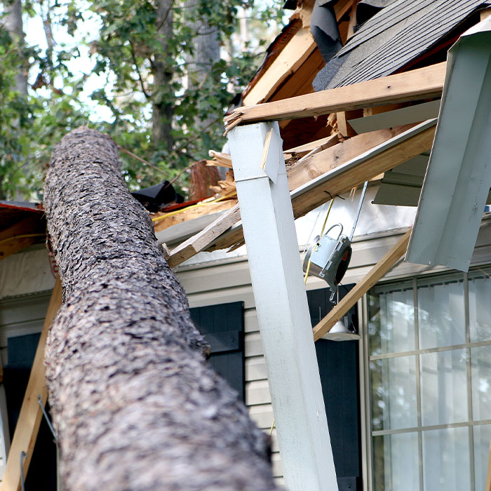 A tree is blown over to hit a house during hurricane