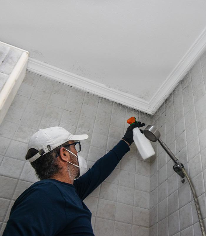 A man with latex gloves cleans mold from tiles and ceiling in the bathroom